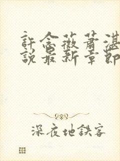 许念薇萧湛明小说最新章节免费阅读