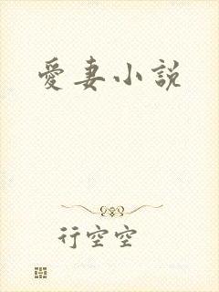 爱妻小说