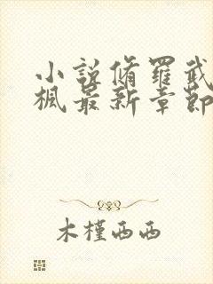 小说修罗武神楚枫最新章节阅续封面