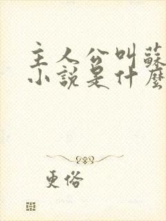 主人公叫苏晴的小说是什么