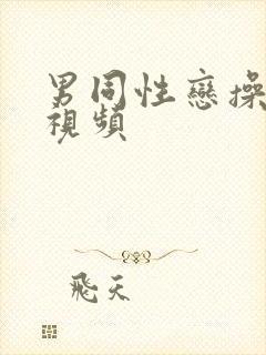 男同性恋操肛门视频