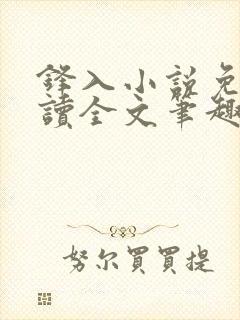 锋入小说免费阅读全文笔趣阁封面