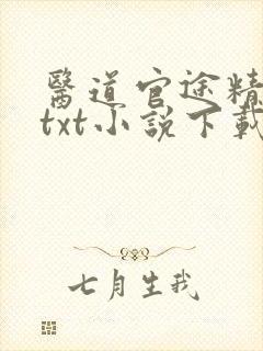 医道官途精校版txt小说下载