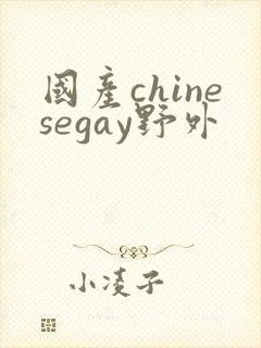 国产chinesegay野外封面