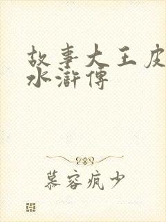 故事大王皮皮讲水浒传