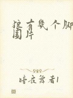 狼有几个脚趾头图片