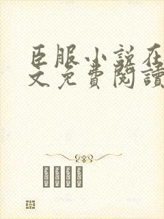 臣服小说在线全文免费阅读笔趣阁无弹窗