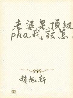 老婆是顶级alpha,我该怎么办笔趣阁封面