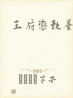 王府惩教养日常