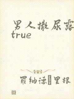 男人撒尿露大丁true封面