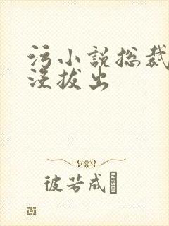 污小说总裁整夜没拔出