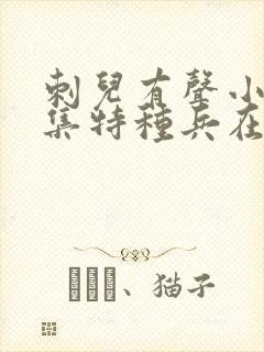 刺儿有声小说全集特种兵在都市