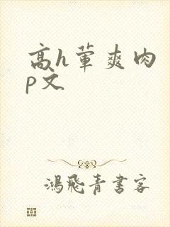 高h荤爽肉〈np文