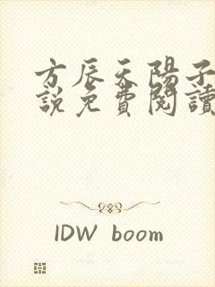 方辰天阳子的小说免费阅读