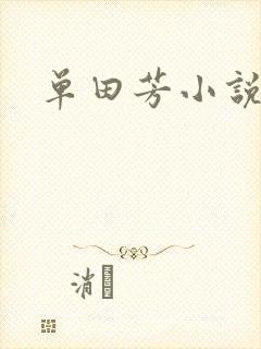 单田芳小说
