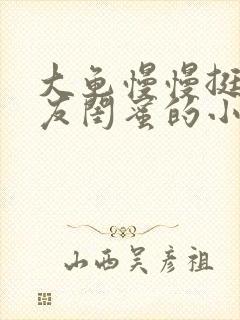 大龟慢慢挺进女友闺蜜的小说
