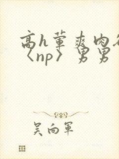 高h荤爽肉欲文〈np〉男男