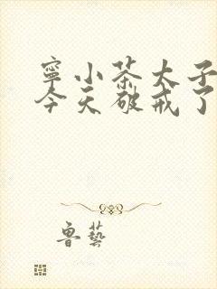 宁小茶太子殿下今天破戒了吗免费阅读