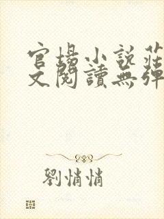 官场小说庄岩全文阅读无弹窗