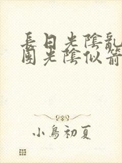 长日光阴乱作一团光阴似箭免费阅读