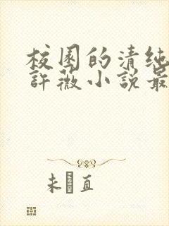 校园的清纯校花许薇小说最新章节列封面