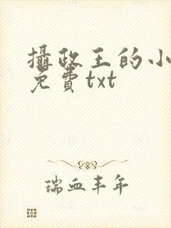 摄政王的小闲妻免费txt