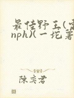 最佳野王(电竞nph)(一坨薯饼)_无拼音封面