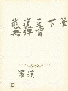 武道天下笔趣阁无弹窗