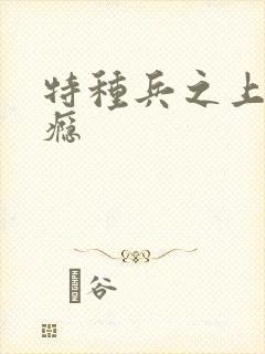 特种兵之上你成瘾封面