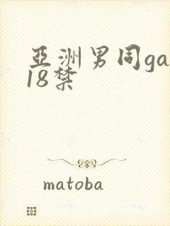 亚洲男同gay18禁封面