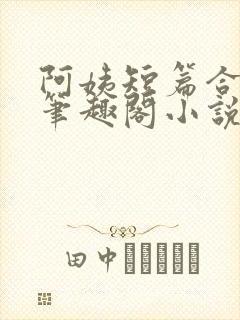 阿姨短篇合集_笔趣阁小说封面