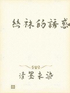 丝袜的诱惑小说封面