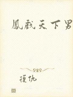 凤戏天下男
