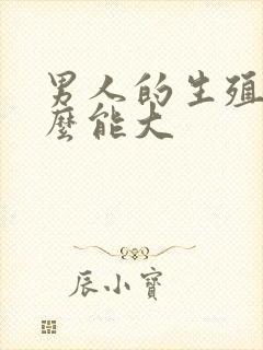 男人的生殖器怎么能大