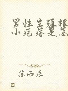 男性生殖根部有小疙瘩是怎么回事儿