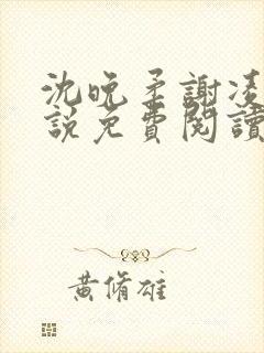 沈晚柔谢凌安小说免费阅读最新章节封面