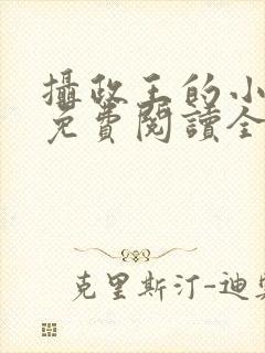 摄政王的小闲妻免费阅读全文封面