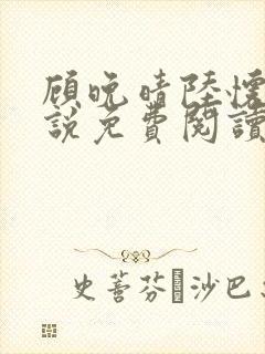 顾晚晴陆怀铮小说免费阅读最新章节