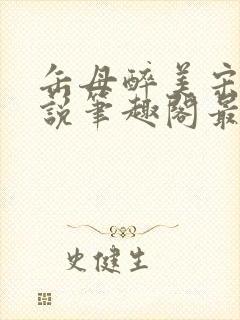 缶母醉美宋城小说笔趣阁最新章节更封面