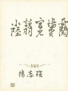 小说官场奇才 陆羽免费阅读