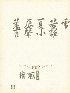 叶辰夏若雪孙怡有声小说