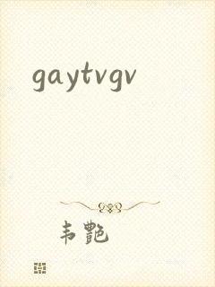gaytvgv封面