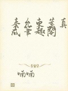 秦允东叶真章高成笔趣阁封面