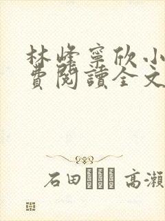 林峰宁欣小说免费阅读全文最新章节