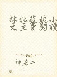 林北苏婉小说全文免费阅读最新章