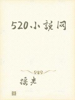 520小说网封面