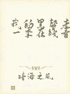 我的黑帮老大第一季在线看免费高清版