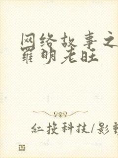 网络故事之秦雨罗明老旺