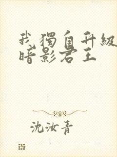 我独自升级漫画暗影君王