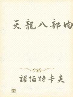 天龙八部肉集封面
